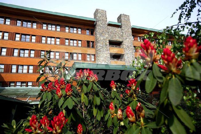 почивка в Disney's Sequoia Lodge