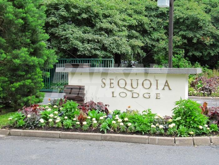 почивка в Disney's Sequoia Lodge