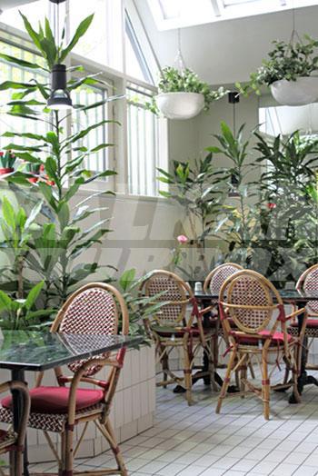 holiday in Rivoli Jardin