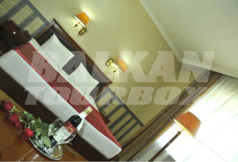 holiday in Lion