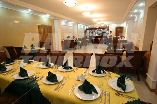 holiday in Lion