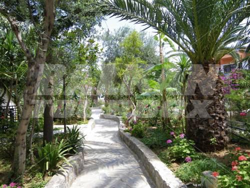 holiday in Happy Days Hotel
