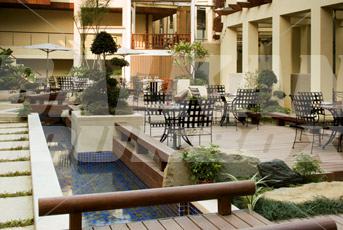 holiday in The Westin
