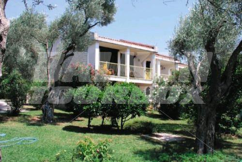 holiday in Vile Oliva