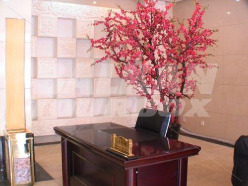 holiday in Beijing BoTai