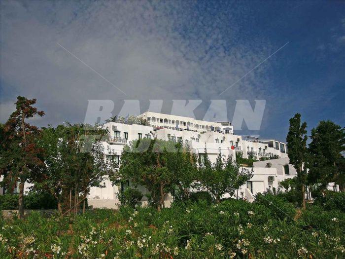 holiday in Peninsula Resort and Spa