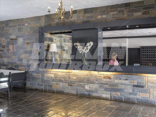 holiday in Peninsula Resort and Spa
