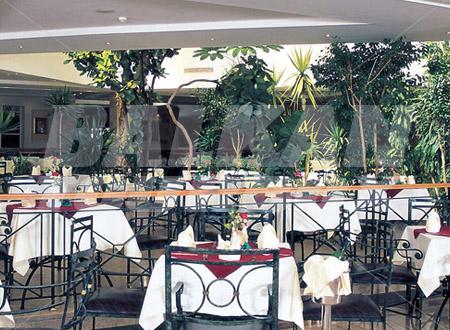 holiday in Shams Safaga