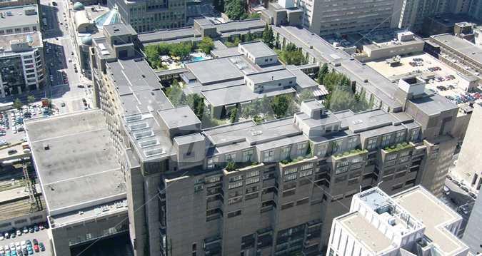 holiday in Hilton Montreal Bonaventure