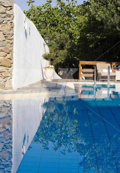 holiday in Despotiko Hotel
