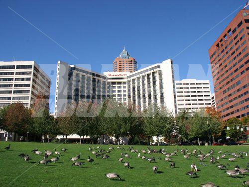 почивка в Portland Marriott Downtown Waterfront