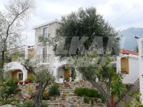 holiday in Resort Apartments Maslinjak Becici
