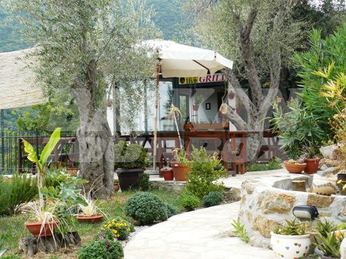 holiday in Resort Apartments Maslinjak Becici