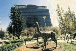 Hotel Radisson Plaza Hotel La Paz, 