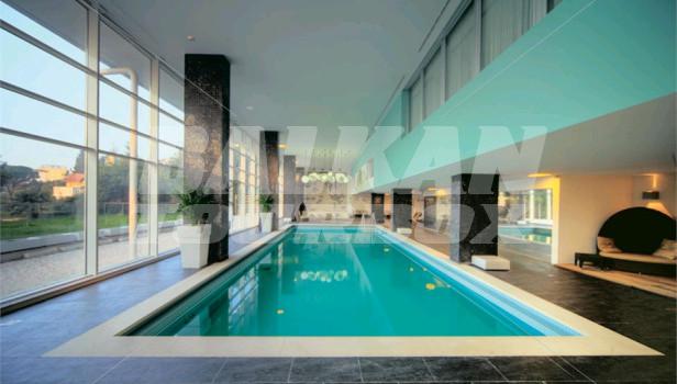 holiday in Ambasador