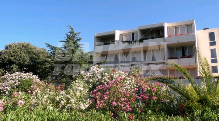 holiday in Valamar Hotel Argosy