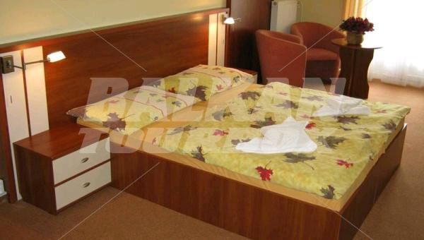 holiday in Palace - Kupele Novy Smokovec