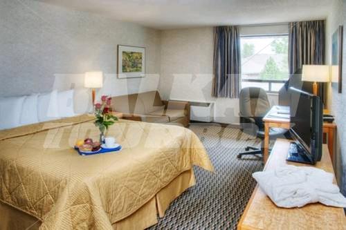 holiday in Comfort Inn