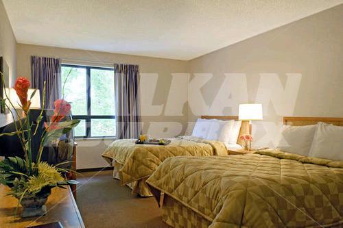 holiday in Comfort Inn