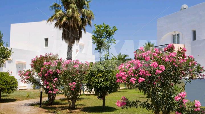 holiday in Summer Village Hotel