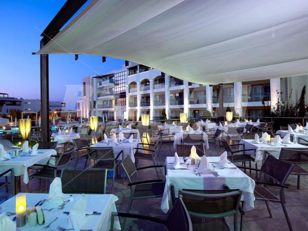 holiday in Albatros Spa and Resort