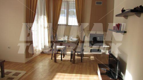 holiday in Kamelia Hotel