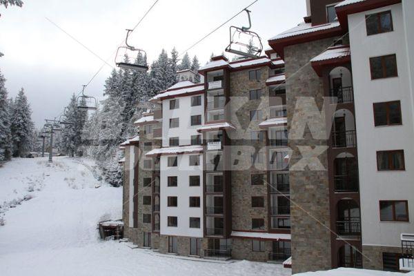 holiday in Kamelia Hotel