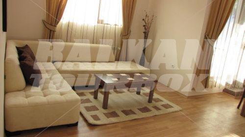 holiday in Kamelia Hotel