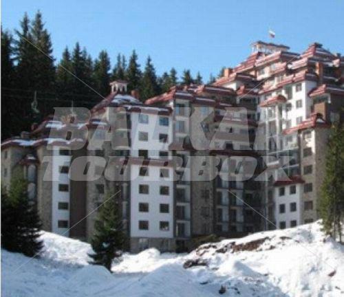 holiday in Kamelia Hotel