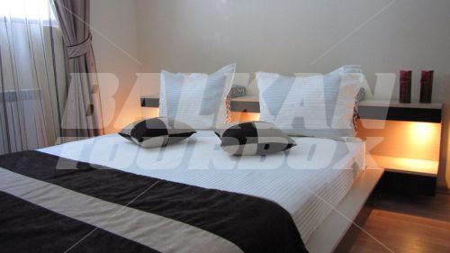 holiday in Kamelia Hotel