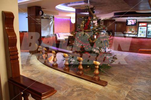holiday in Kamelia Hotel