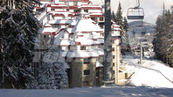 holiday in Kamelia Hotel