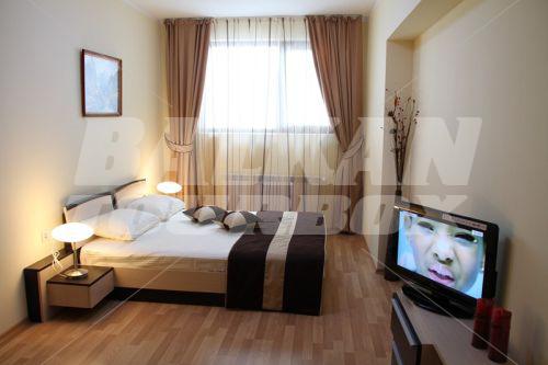 holiday in Kamelia Hotel