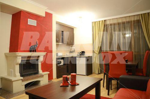 holiday in Kamelia Hotel