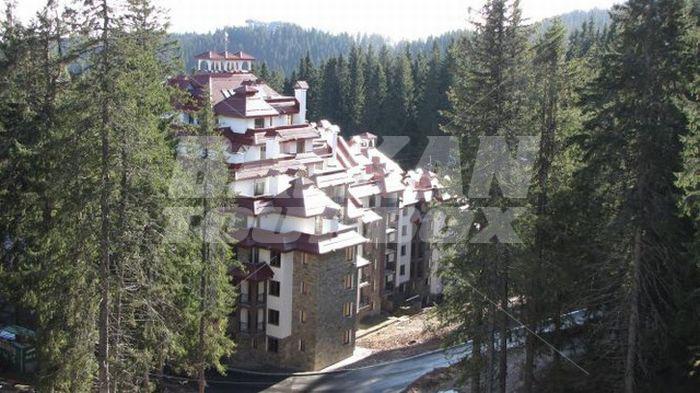 holiday in Kamelia Hotel
