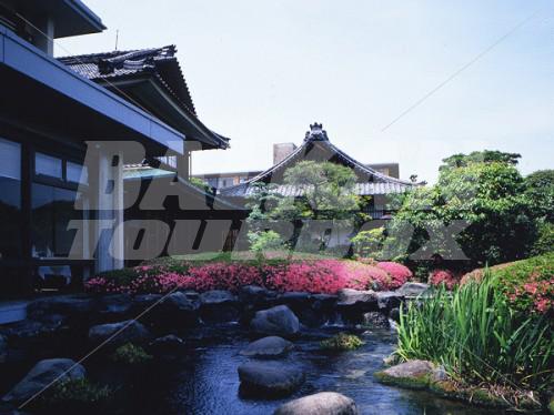 holiday in Fujita