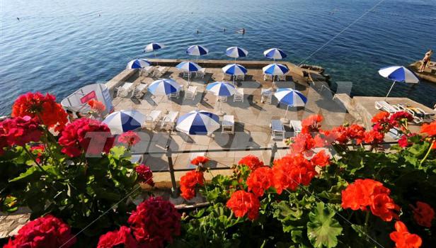 holiday in Belvedere