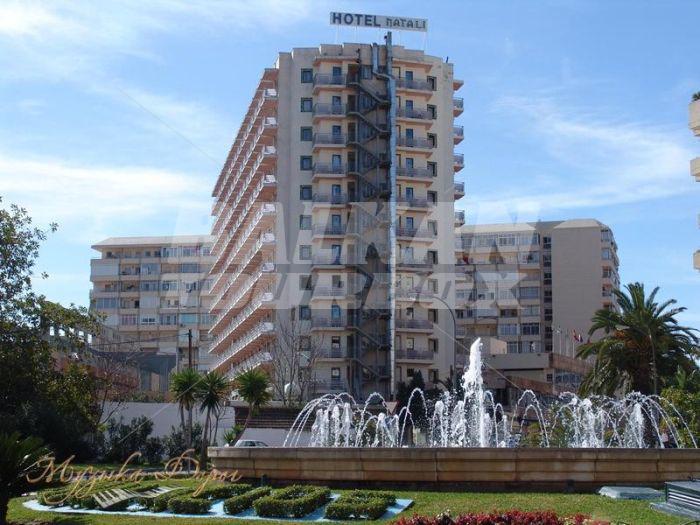 holiday in Natalie