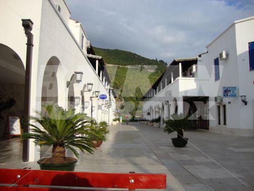 holiday in Aleksandar