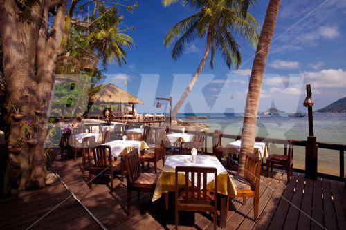 holiday in Sensi Paradise Beach Resort