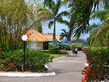 holiday in El Greco