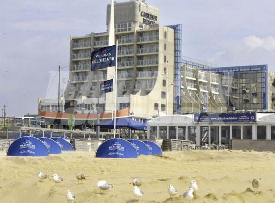holiday in  Carlton Beach