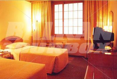 holiday in Dynasty