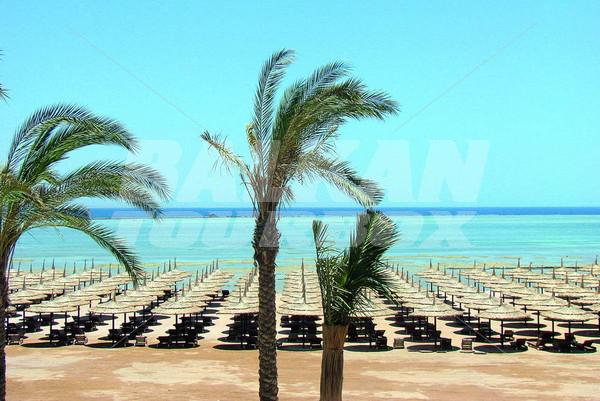 почивка в Tropicana Sea Beach