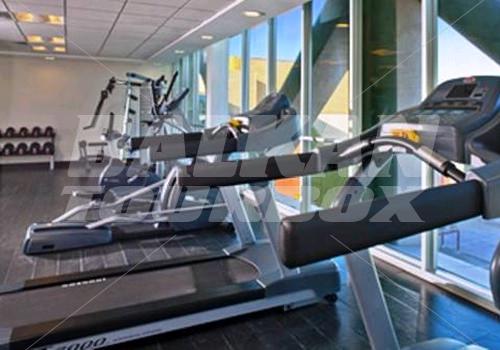 holiday in Four Points by Sheraton Los Angeles