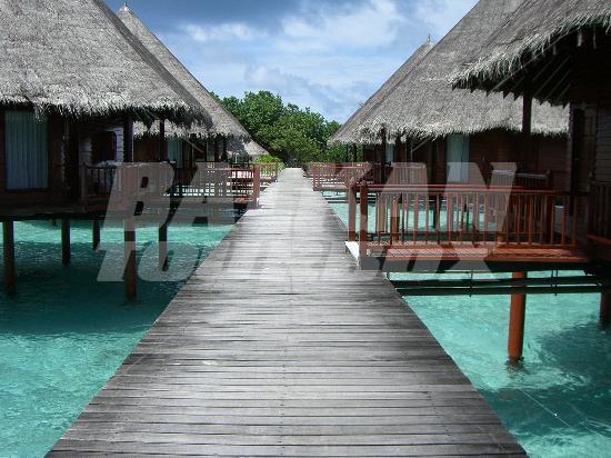 почивка в Velidhu Island Resort