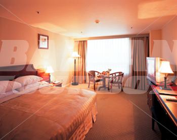 holiday in Best Western Airport