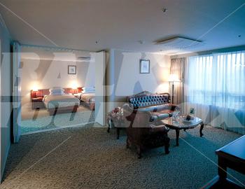 holiday in Best Western Airport