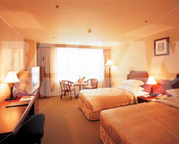 holiday in Best Western Airport