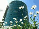 Hotel Suites Camino Real, 